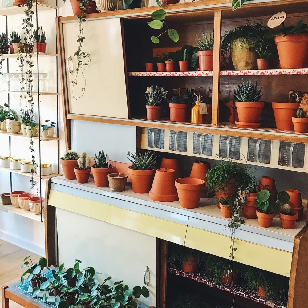 small-flower-store.jpg